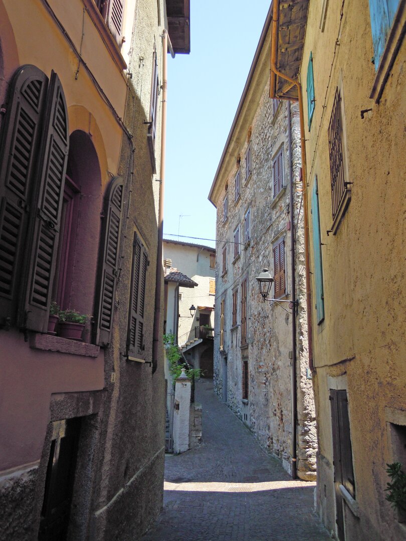 Tremosine